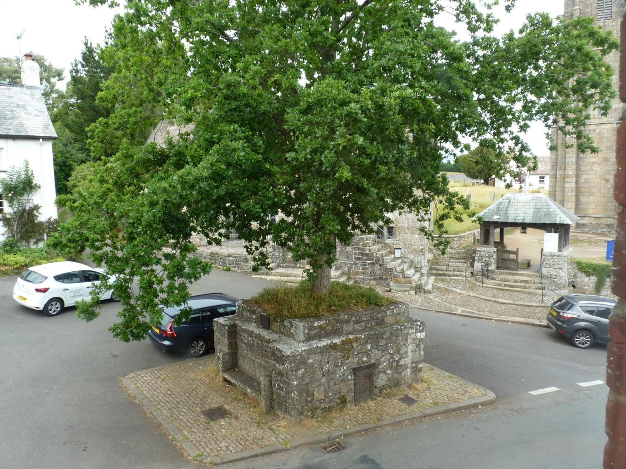 Seven Stars - Bed & Breakfast & Restaurant Okehampton Esterno foto
